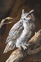 Ponderosa Sentinel Fine Art Print