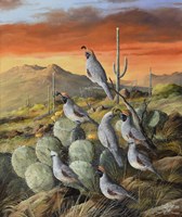 Sunset In Spring 3 Fine Art Print