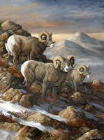 High Country Trio Fine Art Print