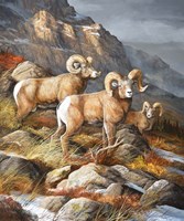 In Stormy Light Fine Art Print