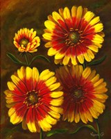 Dazzlers Fine Art Print