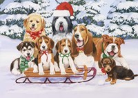 Sled Dogs Fine Art Print