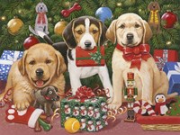Which One's Mine - Xmas Puppies Fine Art Print
