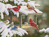Feasting at the Feeder Fine Art Print