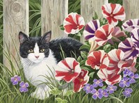 Minnie In the Petunias Framed Print