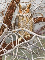 Hidden Hunter Fine Art Print