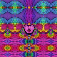 Venus 316 A Fine Art Print