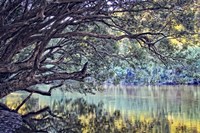 A Place To Dream Fine Art Print