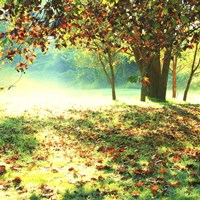 Colourful Morning Fine Art Print