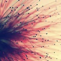 Into The Future Fine Art Print