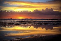 Morning Reflections Fine Art Print