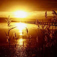 My Date With The Sun Fine Art Print