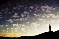 On The Way Home Fine Art Print