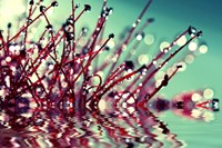 One Sunday Morning Fine Art Print