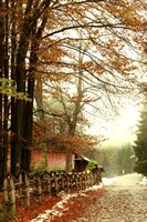 Street Of Seasons Fine Art Print