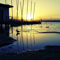 Sunset Conversations Fine Art Print