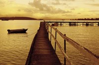 The Art Of Waiting Fine Art Print