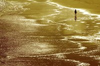 Walking On Sunshine Fine Art Print