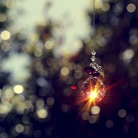 When Wishes Come True Fine Art Print