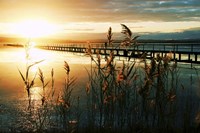 Wish You Were Here Fine Art Print