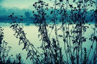 Blues In The Morning Fine Art Print