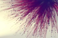 Into The Unknown Fine Art Print