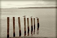 Moments Passing By Fine Art Print