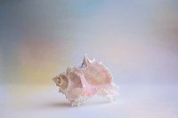 Beach Memories 3 Fine Art Print