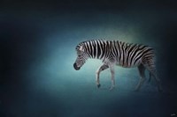 Zebra In The Moonlight Fine Art Print