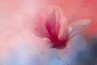 Spring Tulip Magnolia Fine Art Print