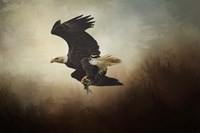 Fish Tail Fine Art Print