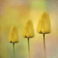Triplets Fine Art Print