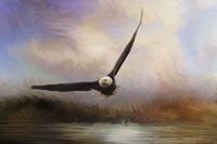 Eagle In The Marsh Fine Art Print