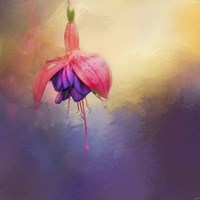 Fuchsia Drop Fine Art Print