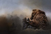 Grizzlies In The Water Fine Art Print