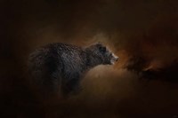 Moonlight Run Fine Art Print