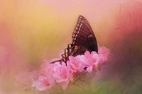 Napping In The Azaleas Fine Art Print