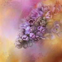 Sun On The Lilacs Fine Art Print
