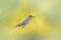 Welcome New Friend Fine Art Print