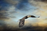 Grass Before The Storm Fine Art Print