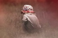 Looking For Flowers Fine Art Print