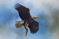 The Raptors Catch Fine Art Print