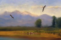 Where Eagles Play Fine Art Print