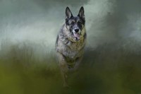 Racing The Storm Fine Art Print