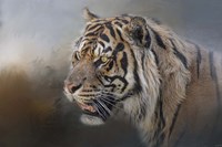 Alert Bengal Fine Art Print
