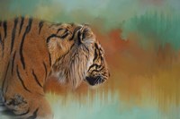 Bengal Energy Fine Art Print