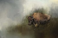 Bison After The Mud Bath Fine Art Print