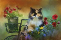 Calico In The Garden Fine Art Print