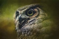 Great Horned Owl In The Grove Fine Art Print