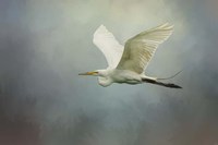 Sea Flight Fine Art Print
